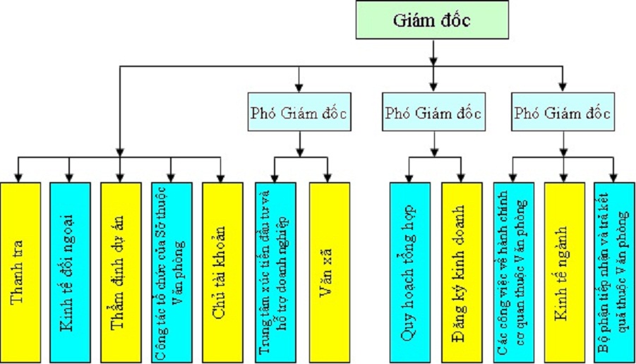   Sơ đồ tổ chức